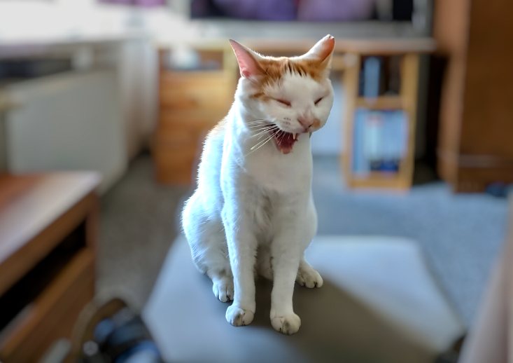 Streamerin Elsa trauert um ihren Stalker Russ