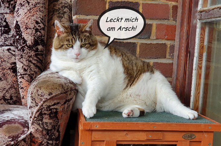 Die komischen Menschen da draußen, können Stalker Russ am Arsch lecken!