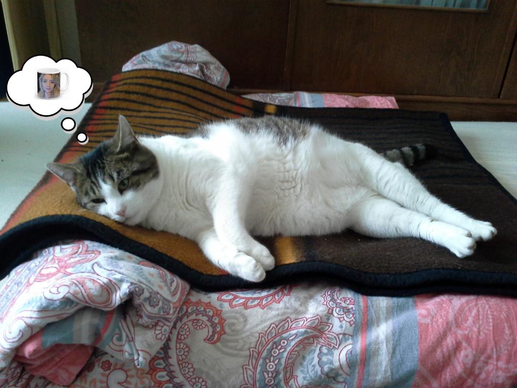 Russ wartet deprimiert auf die Fototasse der Streamerin Lisamaus.