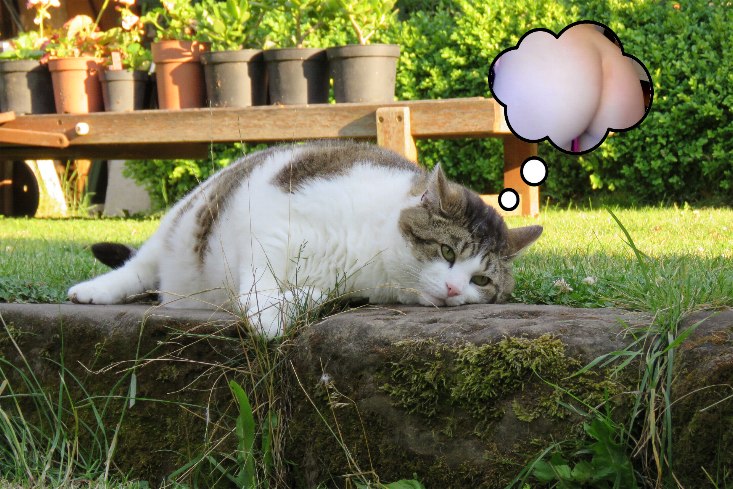 Stalker Russ bekommt Streamerin Lisamaus nicht aus seinem Kopf.