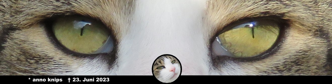 Die deutsche Streamerin hat es nicht leicht. Als Objekt der Begierde muss sich das Camgirl mit seinen Stalkern herumärgern.