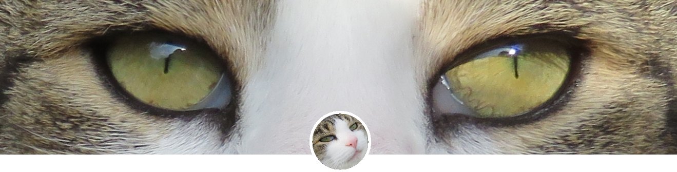 Russ harred bebend auf Ihren Kommentar.