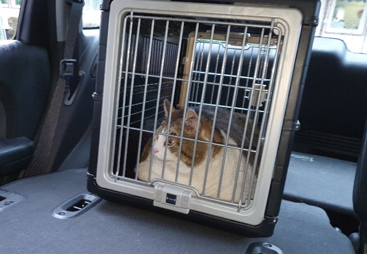 Stalker Russ sitzt in der Todeszelle