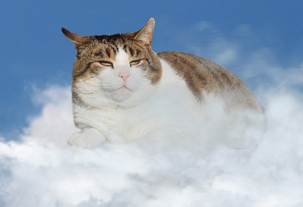 Stalker Russ mag deutsche Streamerinnen.